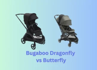 Bugaboo Dragonfly vs Butterfly Bugaboo Dragonfly vs Butterfly