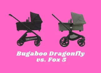 Bugaboo Dragonfly vs Fox 5 Comparison