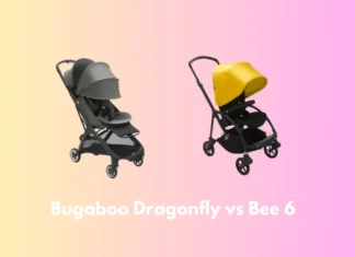 Bugaboo Dragonfly vs Bee 6